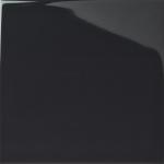 Shadow Dark Grey Gloss Medium (PRG107) Tiles