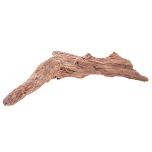 Bog Wood Large 34-43cm