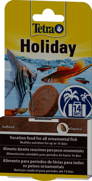 Tetramin Holiday Food Blocks 30g