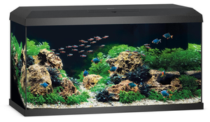 Juwel Primo 110 2.0 Aquarium in Black