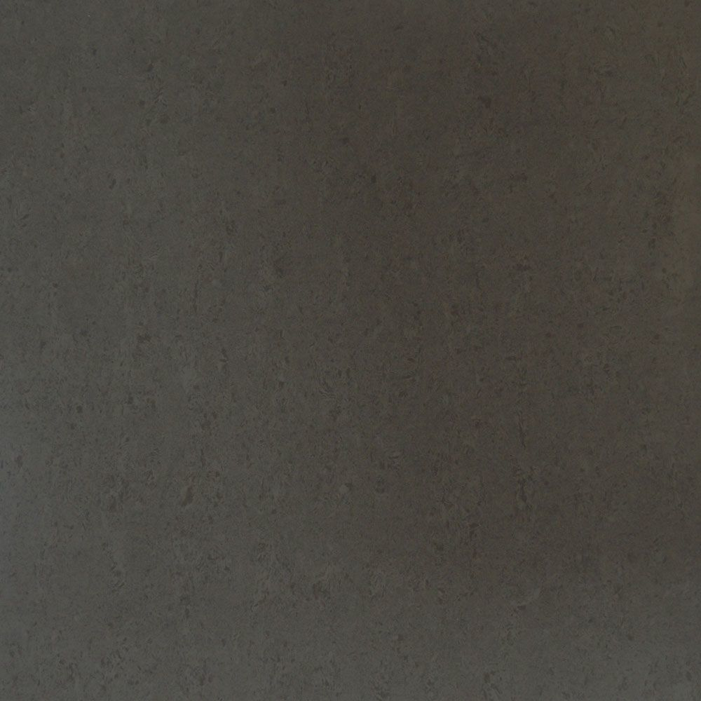 Polished Lichen Grey Stone 60x60 Tile