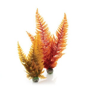 Biorb Plants Fern