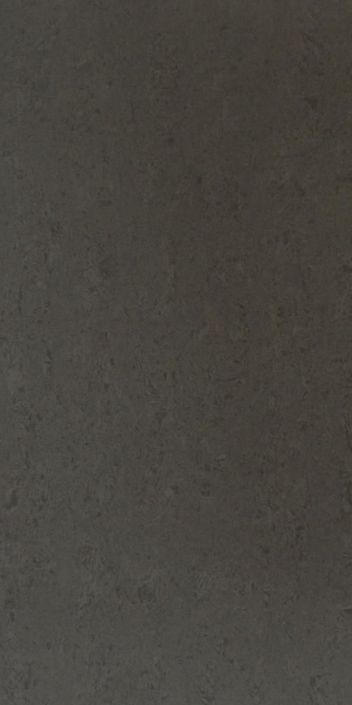 Polished Lichen Grey Stone 60x30 Tile