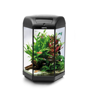 Aquael Hexa Set 60, Hexagon 60 Litre Tropical Aquarium