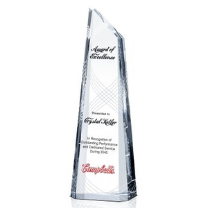 Zenith Employee Award of Excellence