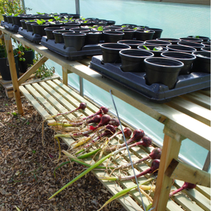 Trestle Potting Greenhouse Table - 1.8m x 0.5m - 3