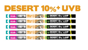 Arcadia Euro 38w D3+ T8 Desert Lamp 10% UVB 42''