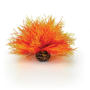Biorb Sea Lily Flame
