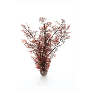 Biorb Sea Fan Crimson Small