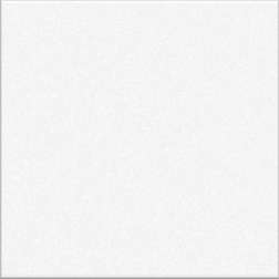 White Gloss Medium (PRG1) Tiles