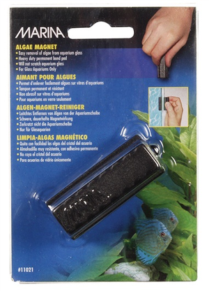 Marina Algae Magnet Small