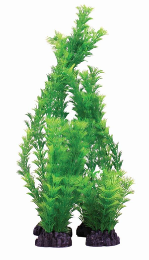 Hugo Kamishi Hornwort Green 13cm Plastic Plant