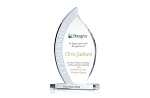 Crystal Flame Leadership Awards