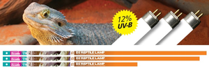 Arcadia  D3+ T5 54w Desert Lamp 12% UVB