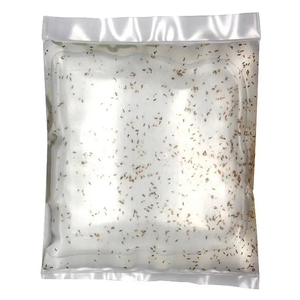 Live Copepods