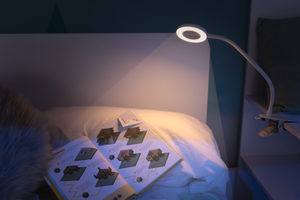 Clip on LED 3 Mode Bendy Light