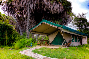 Lake Manze Camp