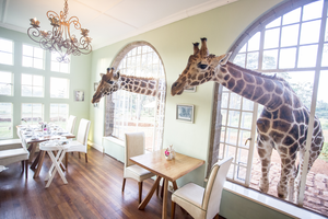 Giraffe Manor