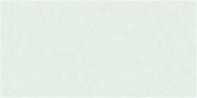 Mintwater Gloss Oblong (PRG45) Tiles
