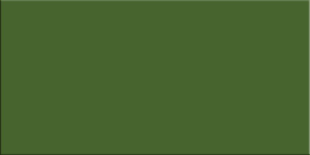 Green Park Smooth Gloss 200x100 Green Tiles