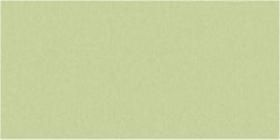 Pistachio Gloss Oblong (PRG40) Tiles