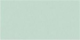 Peppermint Gloss Oblong (PRG43) Tiles