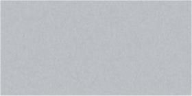Storm Grey Gloss Oblong (PRG24) Tiles