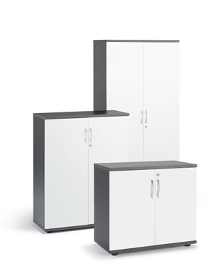 Graphite and White Office Cupboard