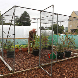 Fruit Cage Door
