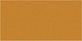 Pumpkin Gloss Oblong (PRG55) Tiles