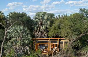 Camp Okavango