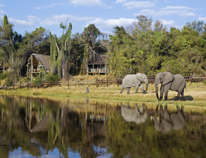 Savute Safari Lodge