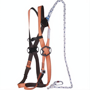 Fall Restraint Kit - Cherry Pickers / Platforms - Delta Plus