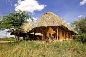 Lewa Safari Camp