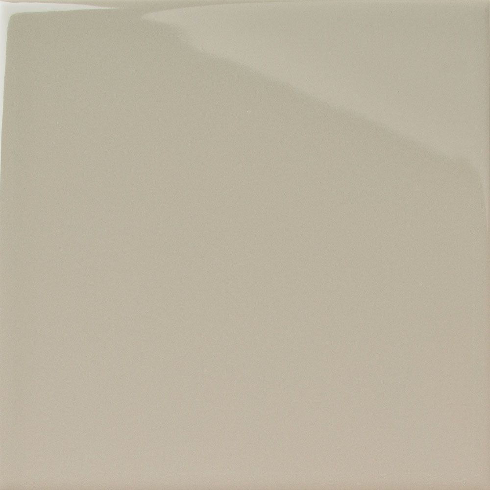 Mushroom Grey Gloss Medium (PRG108) Tiles