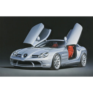 TAMIYA 24290 Mercedes Benz SLR McLaren 1:24 Car Model Kit