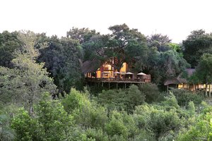 Londolozi Varty