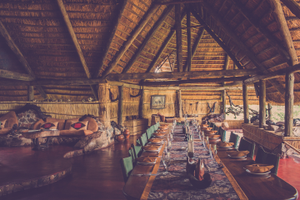 Mwagusi Safari Camp