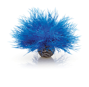 Biorb Sea Lilly in Blue