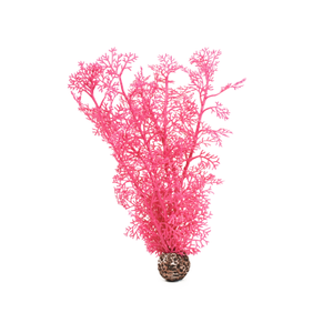 Biorb Medium Sea Fan in Pink