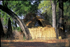 Mwamba Bush Camp