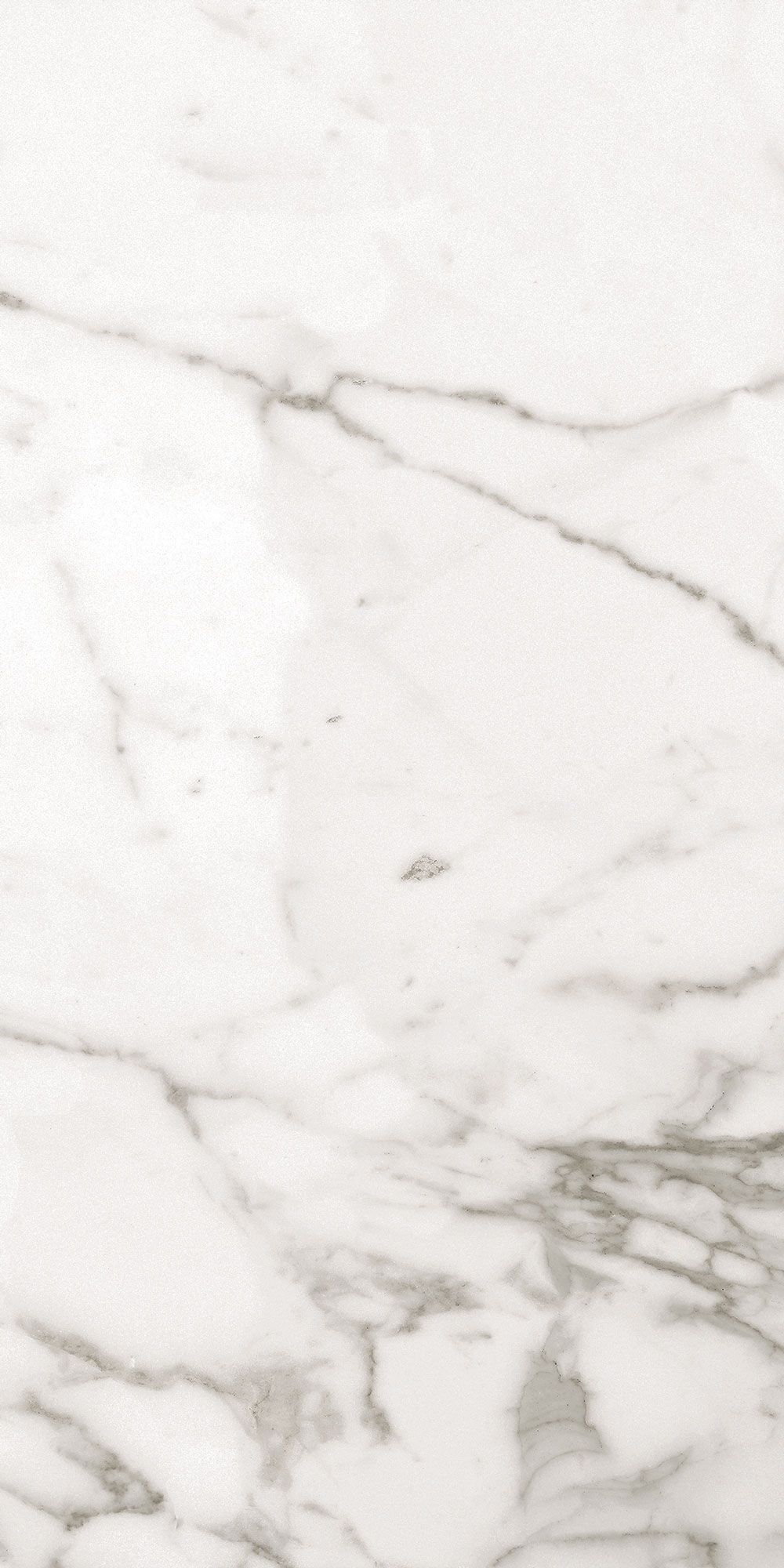 Gloss 60x30 Carrara Marble Effect Tiles