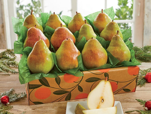 Comice Pears - Large Tray