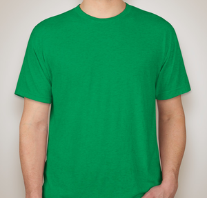 Next Level Tri-Blend T-shirt - Envy