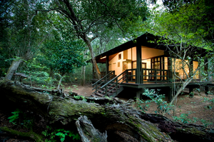 AndBeyond Phinda Forest Lodge