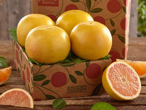 Sampler Tray of Ruby Red Grapefruit