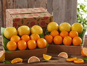 2 Trays Navel Oranges & Ruby Red Grapefruit