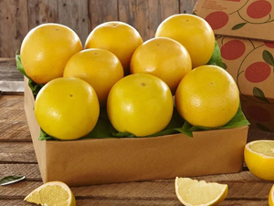 1 Tray of White Grapefruit