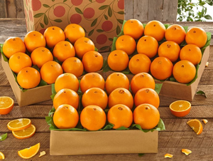 3 Trays of Navel Oranges