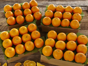 4 Trays of Tangerines